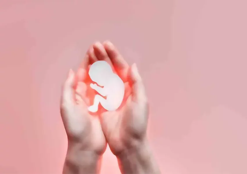 aborto